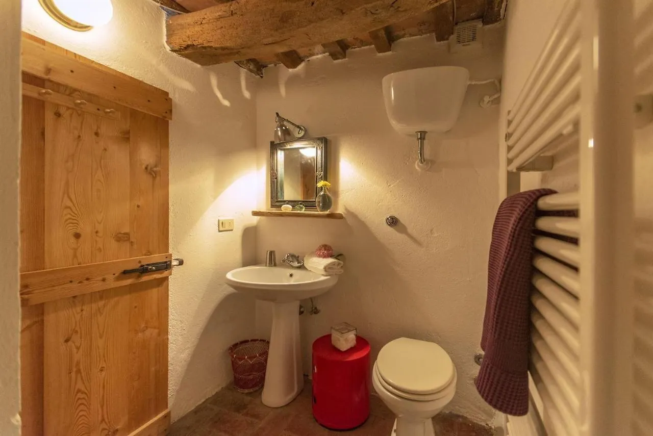 Podere I Fabiani Castel del Piano  Castel del Piano (Tuscany)